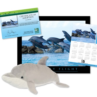 Adopt a Bottlenose Dolphin - $50