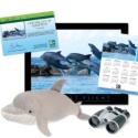 Adopt a Bottlenose Dolphin - $75
