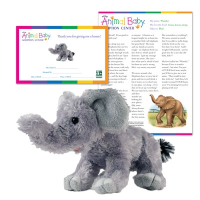 Adopt a Baby Elephant - $30