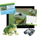 Adopt a Barking Tree Frog - $100