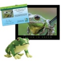 Adopt a Barking Tree Frog - $30