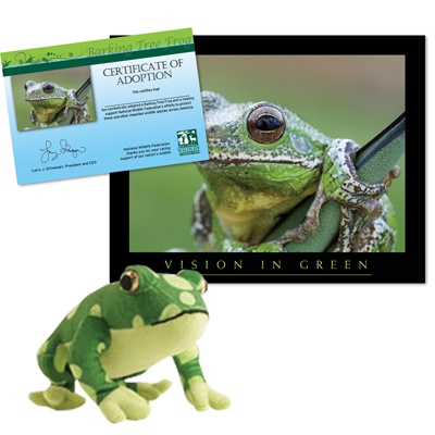 Adopt a Barking Tree Frog - $30