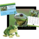 Adopt a Barking Tree Frog - $50