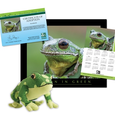 Adopt a Barking Tree Frog - $50