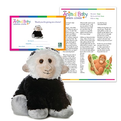 Adopt a Baby Gibbon - $30