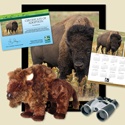 Adopt a Bison - $100