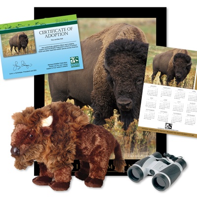 Adopt a Bison - $100