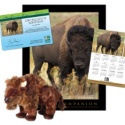 Adopt a Bison