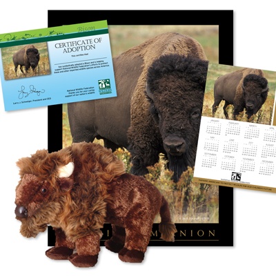 Adopt a Bison - $50