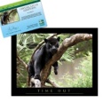 Adopt a Black Jaguar - $20