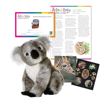 Adopt a Baby Koala - $100
