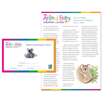 Adopt a Baby Koala - $20
