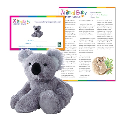 Adopt a Baby Koala - $30