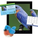 Adopt an Eastern Bluebird - $50