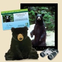 Adopt a Black Bear