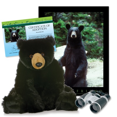 Adopt a Black Bear - $150
