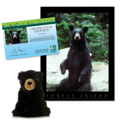 Adopt a Black Bear - $30