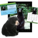 Adopt a Black Bear