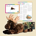Adopt a Baby Moose