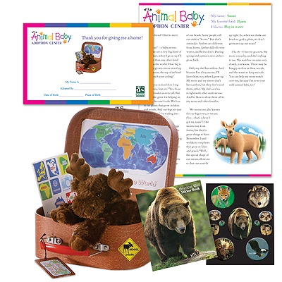 Adopt a Baby Moose - $50