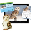 Adopt a Barn Owl