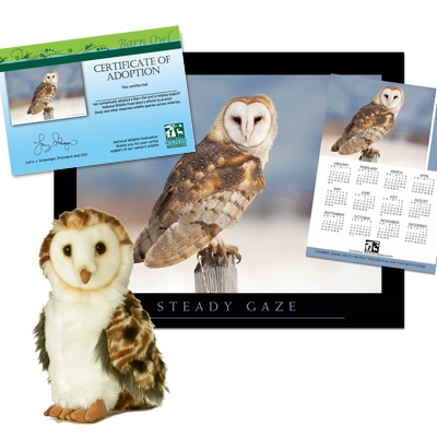 Adopt a Barn Owl - $50