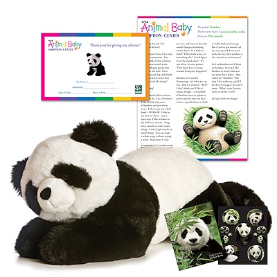 Adopt a Baby Panda - $100