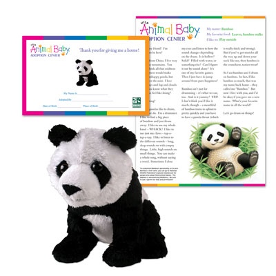 China Adoption Story on Home    Adopt A Wild Animal Baby    Adopt A Baby Panda    Adopt A