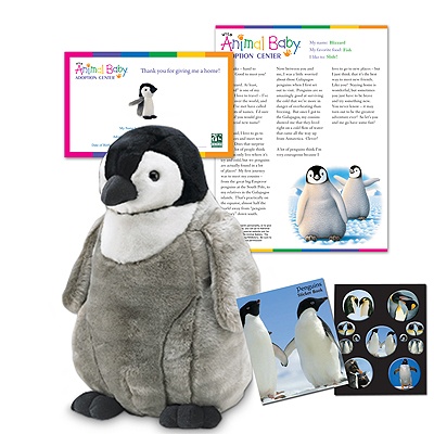 Adopt a Baby Penguin - $100