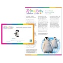 Adopt a Baby Penguin