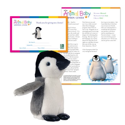 Adopt a Baby Penguin - $30