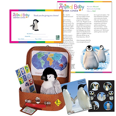 Adopt a Baby Penguin - $50