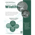 Attracting Wildlife Habitat Certification Brochure