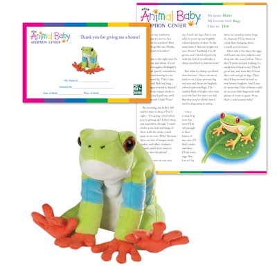 Adopt a Baby Red-eyed Tree Frog - $50