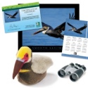 Adopt a Brown Pelican