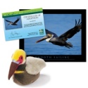 Adopt a Brown Pelican