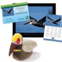Adopt a Brown Pelican