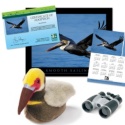 Adopt a Brown Pelican