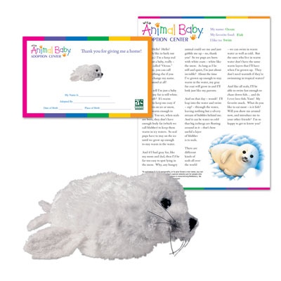 Adopt a Baby Seal - $30