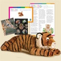 Adopt a Baby Tiger - $100