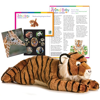 Adopt a Baby Tiger - $100