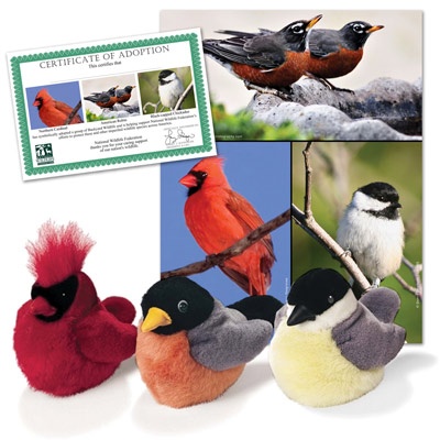 Backyard Wildlife Series 1 Collection