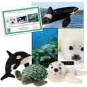 Marine Wildlife Series 1 Collection