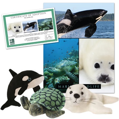 Marine Wildlife Series 1 Collection