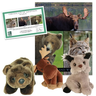 Woodland Wildlife Series 1 Collection