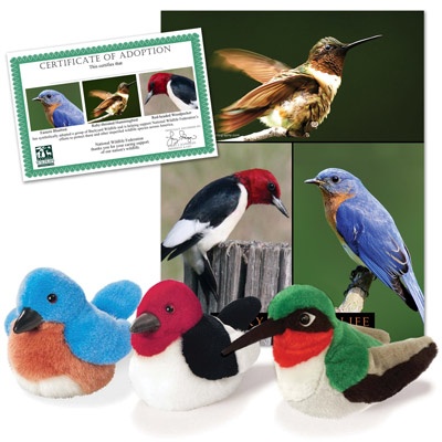 Backyard Wildlife Series 2 Collection