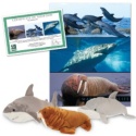 Marine Wildlife Series 2 Collection