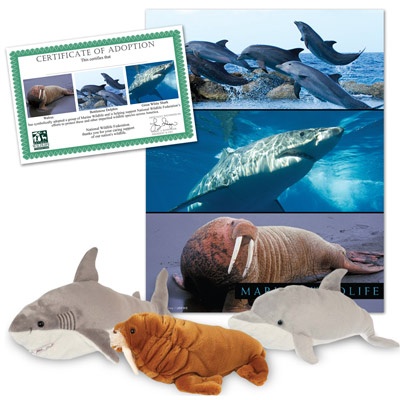 Marine Wildlife Series 2 Collection