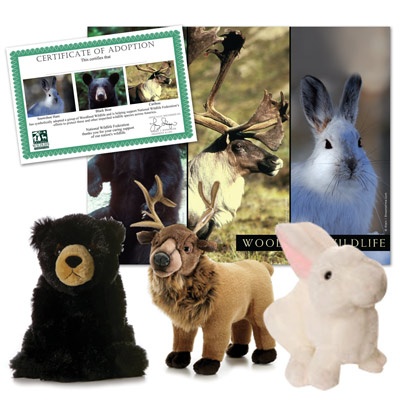 Woodland Wildlife Series 2 Collection