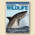 NWF Membership - Personal